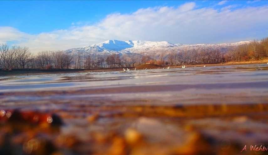 محمية دير تعنايل البقاع الاوسط - لبنان