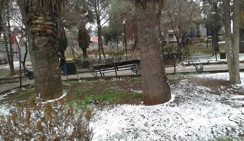 اطفال حلب تلعب بالثلوج في حديقة الفرقان بعد ان تم تحرير مناطقهم وعادت امنة..