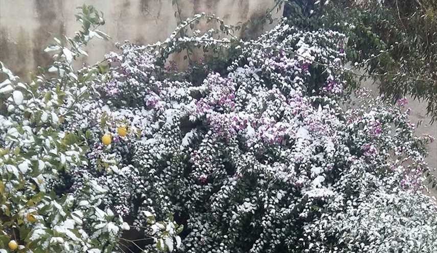 اجمل صور للثلج في حلب الجديدة بحلب