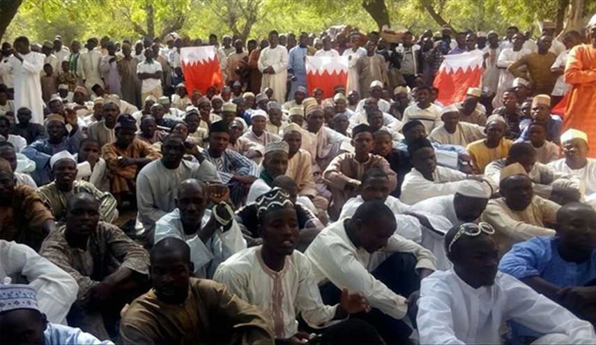بالصور.. تظاهرة حاشدة في نيجيريا استنكارا لاستهداف آية الله قاسم