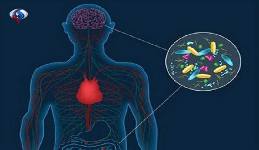 مزاج الإنسان مرتبط بجراثيم تعيش في أمعائه