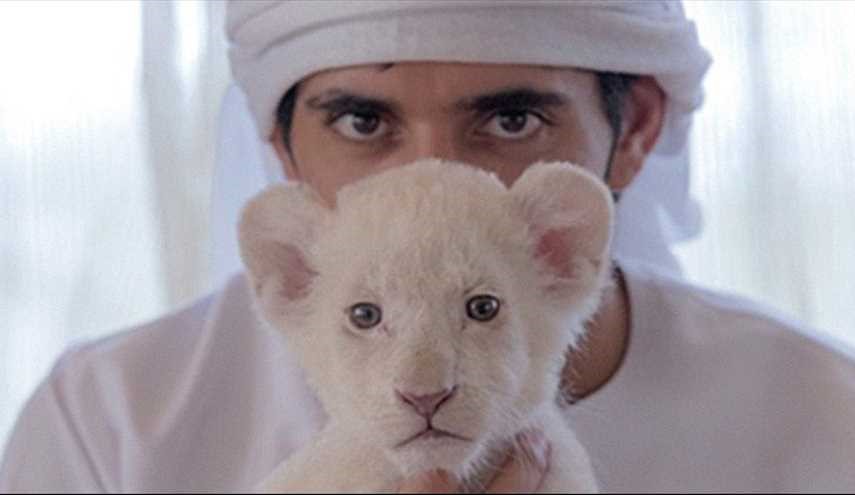 ممنوع شدن حیوان خانگی 