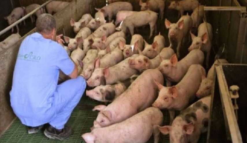 صادم جدا..تل أبيب تنفق 