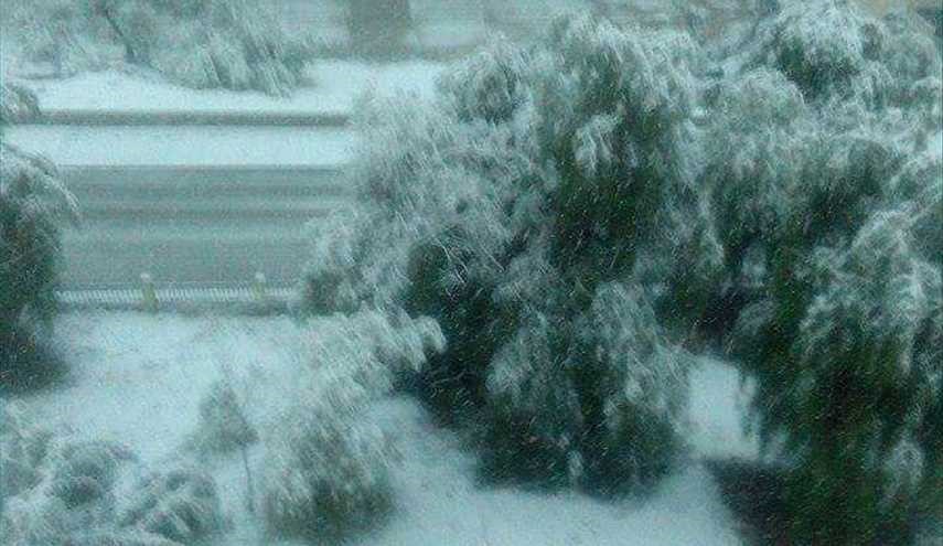 هطول الثلج في مدينة قسنطينة / الجزائر بعد غياب طويل استمر خمس سنوات