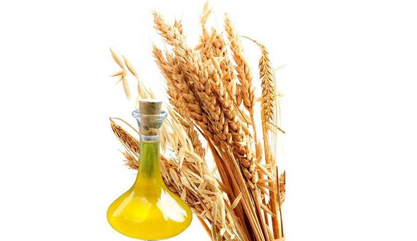 فواید شگفت انگیر روغن جوانه گندم