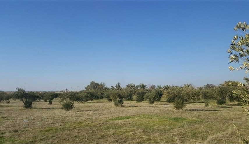 بالصور ..منطقة تازة جنوب محافظة كركوك العراقية