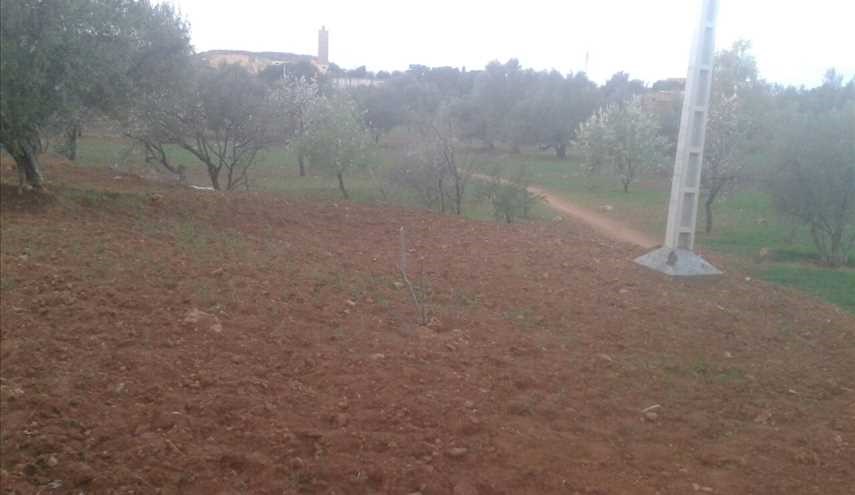بالصور ..قرية 