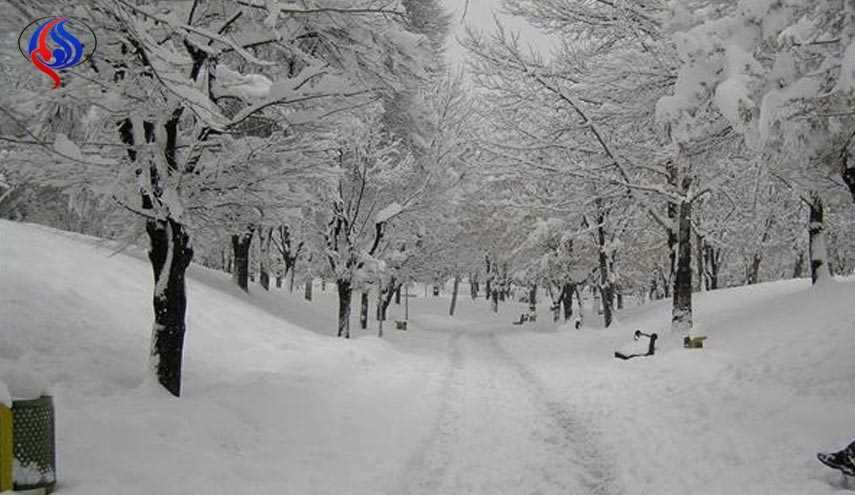 تهران امشب چند درجه سرد می شود؟