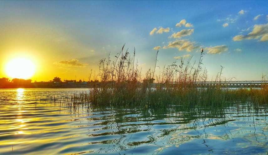 صور من الطبيعة في مدينة الكوت في محافظة واسط
