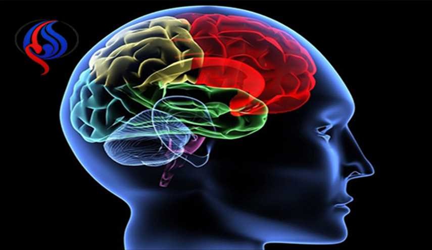 8 حقائق مثيرة لا تعرفها عن العقل البشري