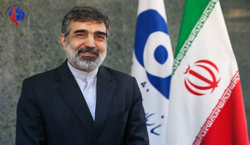 کمالوندی: طرح اولیه بازطراحی رآکتور اراک مورد تائید چینی‌ها قرار گرفت
