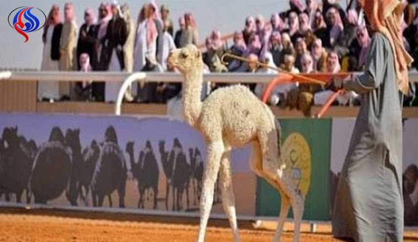 مسابقة 