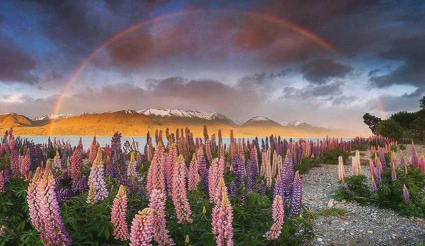 تصاویرشگفت انگیز از دنیای زیبا