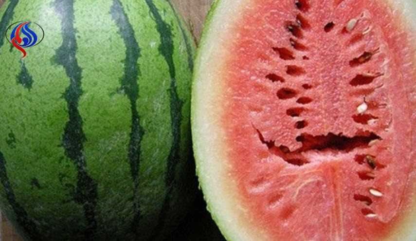 هندوانه دراین صورت باعث ابتلا به سرطان می شود!