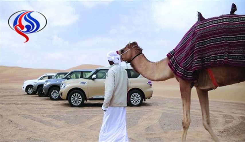 بدل الحصان.. كم جملاً قدرة السيارة في شبه الجزيرة العربية؟!