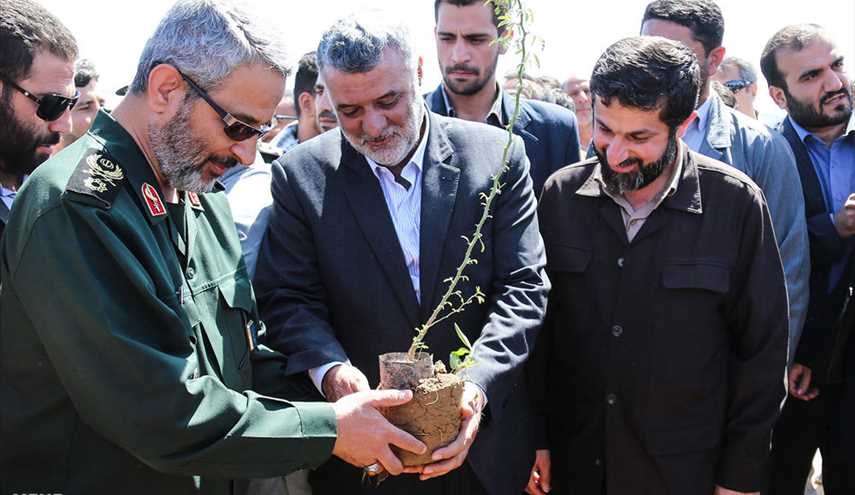 کاشت ۲۵۰ هزار نهال در خوزستان | تصاویر