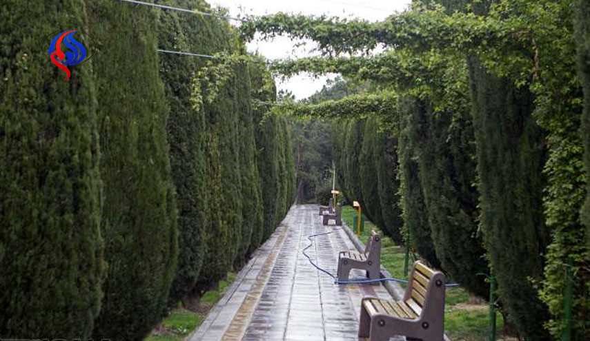 هوای 16 استان کشور بارانی است