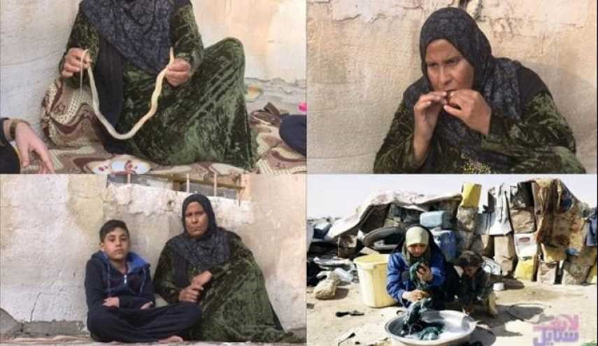 عراقية مصابة بالسرطان تأكل ثعبانا كل شهر...وهذا هو السبب!