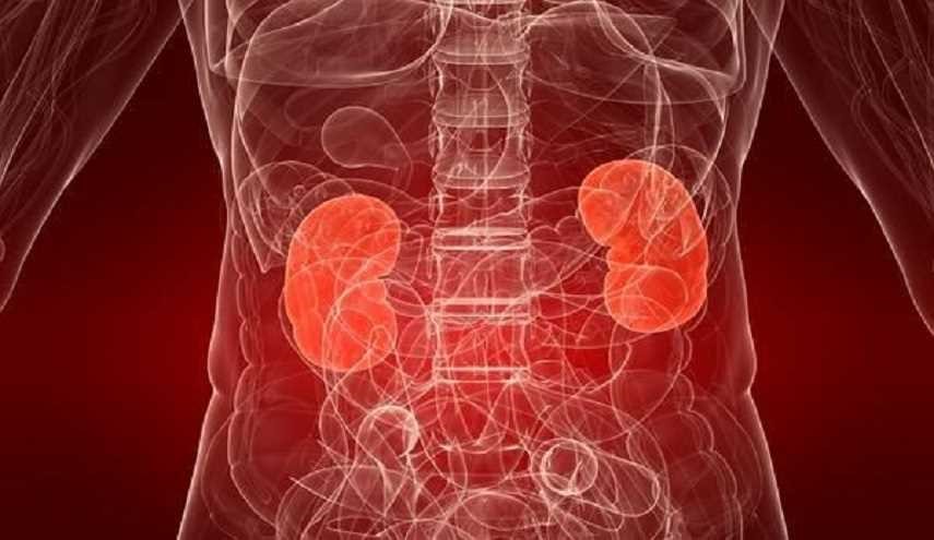 10 أطعمة تساعد في الحفاظ على صحة الكلى