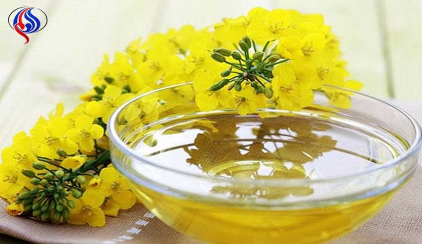 هذا الزيت يمنع تساقط الشعر ويخلِّص من حب الشباب والتجاعيد
