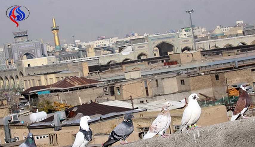 دوباره در مشهد، زلزله شد