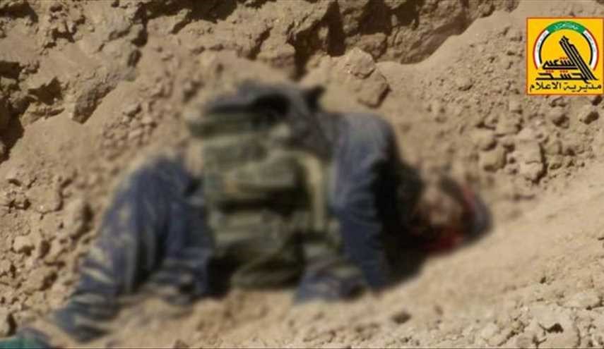 شکار 24 داعشی و آزادسازی منطقه الیرموک در موصل