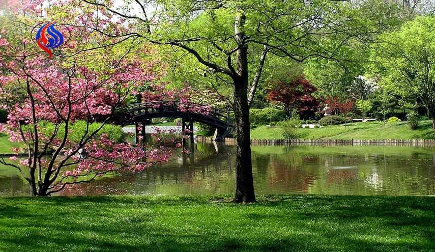 چترها را غلاف باید کرد/ زیر باران باید رفت
