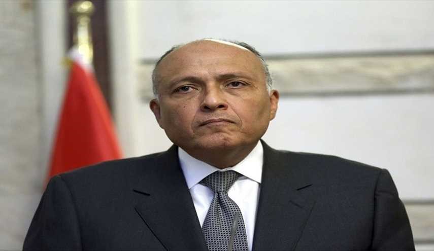 «نگرانی شدید» مصر از تحولات اخیر سوریه