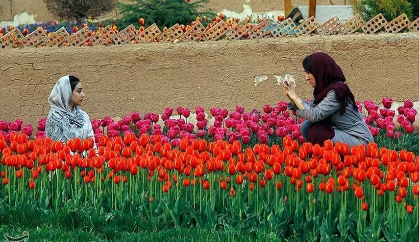 مهرجان سنوي لزهور التوليب في مدينة كرج غرب طهران
