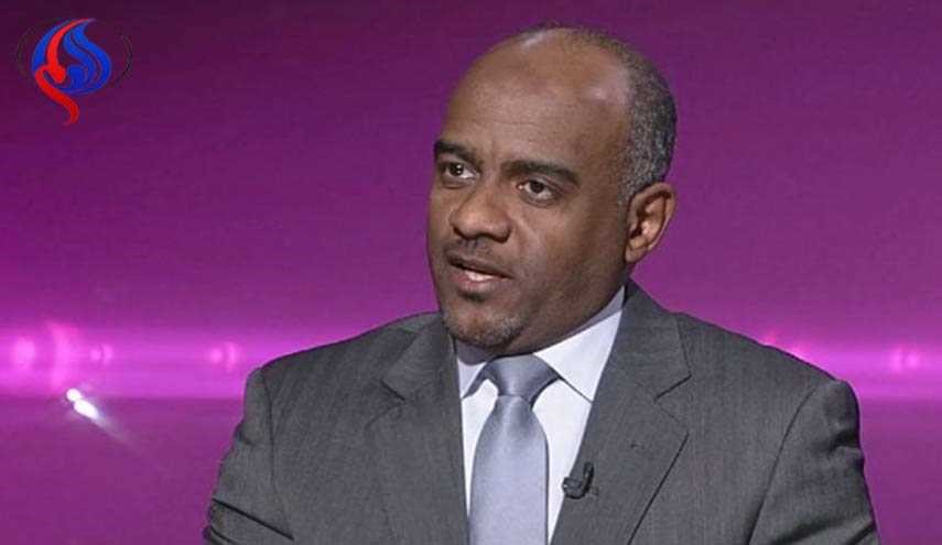 عسيري: مصر عرضت إرسال 40 ألف مقاتل إلى اليمن