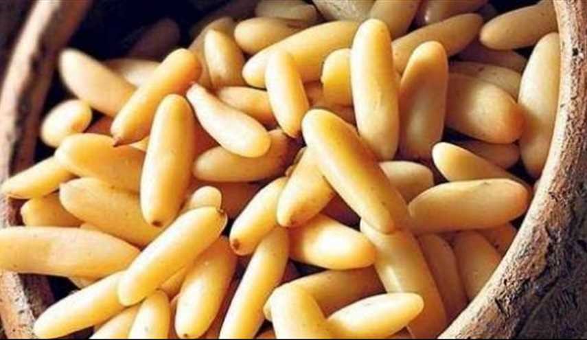 13 فائدة لا تعرفونها عن الصنوبر.. ستُذهلك!