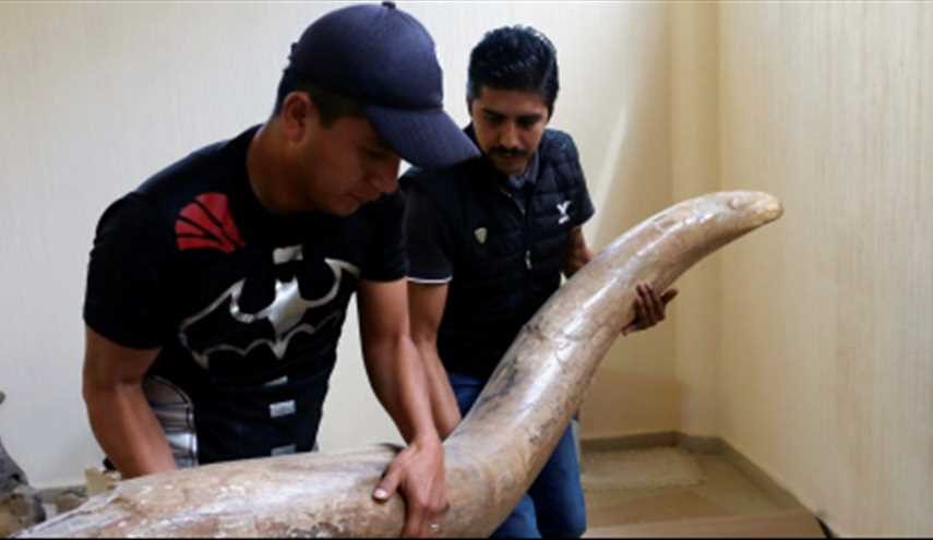 اكتشاف جديد يشكل صدمة لعلماء التاريخ.. الحياة على أميركا ليست كما كانوا يظنون طيلة آلاف السنين !