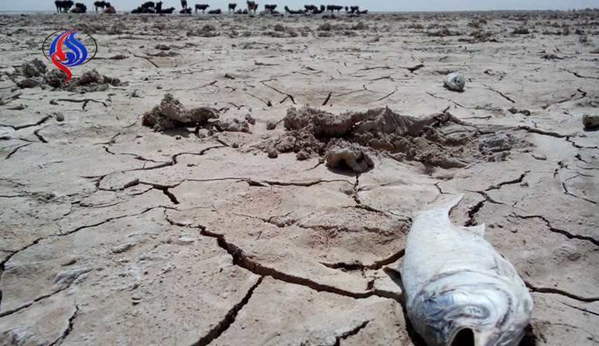 نقش افغانستان در مرگ تالاب هامون