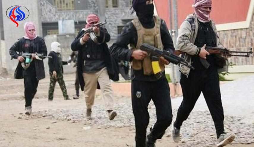 مسؤول كبير: نحو 900 أردني يقاتلون حاليا في العراق وسوريا