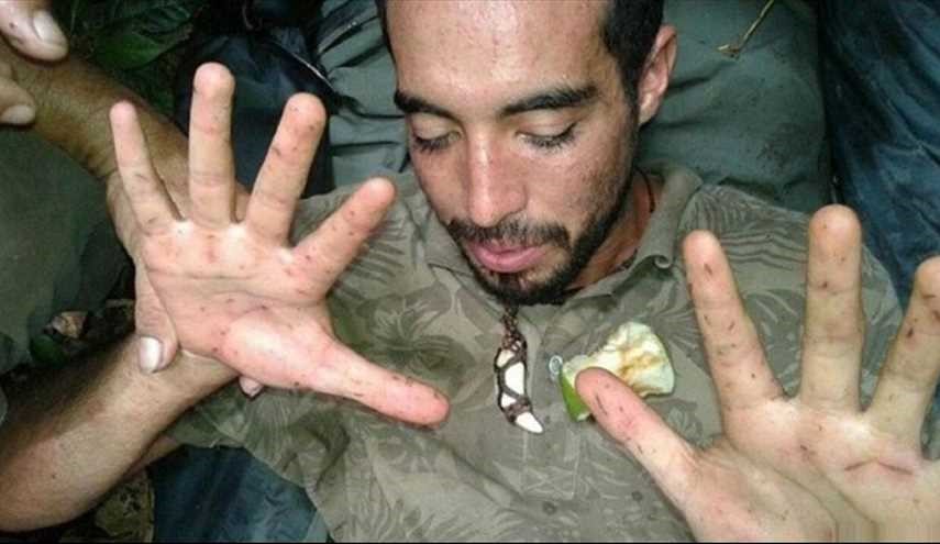 ضاع في أدغال 