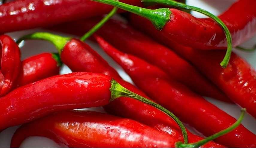 بريطانيا تزرع 