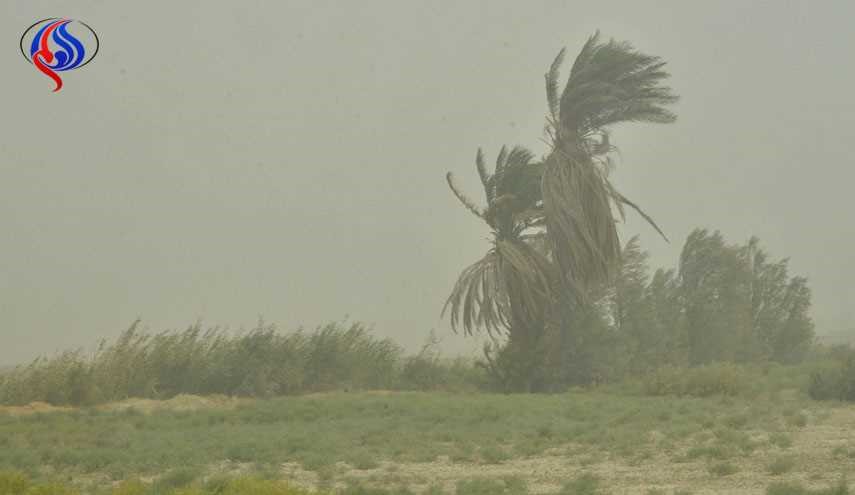 البرز؛ باد شدید و گرد و غبار در 48 ساعت آینده