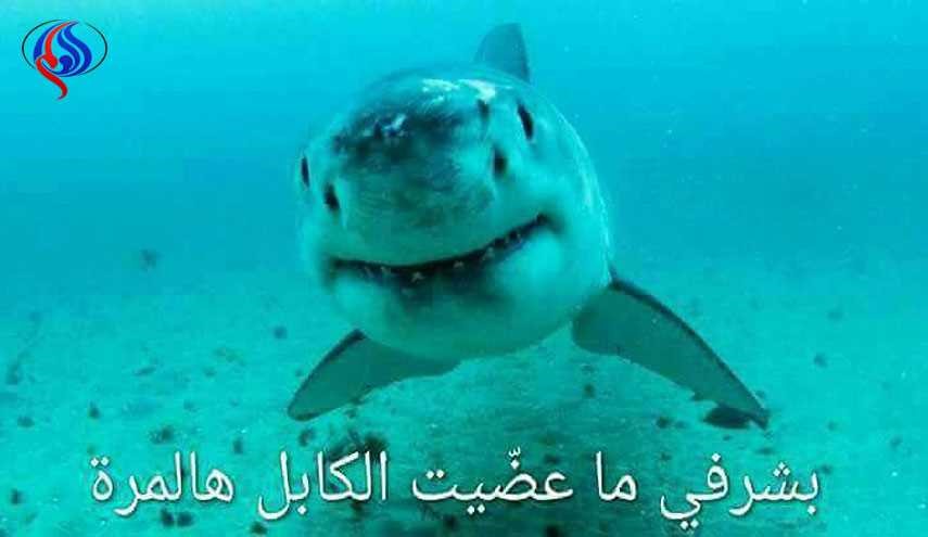 السوريون يسخرون 