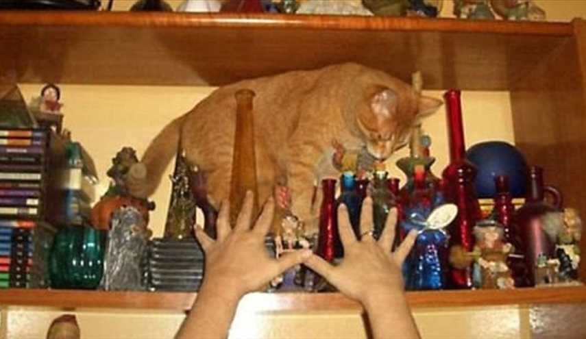 شاهد .. مصور ماهر يتصيد بكاميرته اللحظات الحرجة