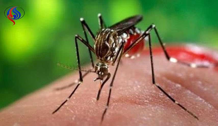 بالخطوات.. مكونات طبيعية تقضي على مشكلة 