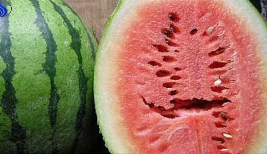 اذا رأيت هذه الشقوق في فاكهة البطيخ، إرمها بعيداً !