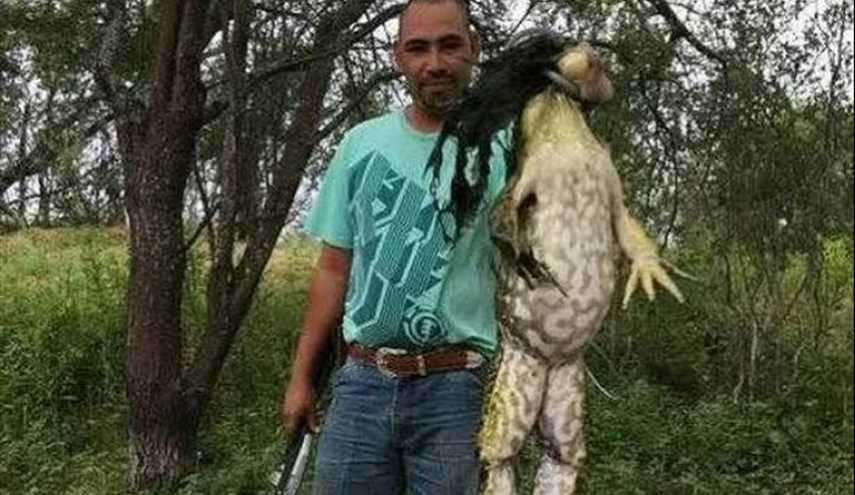 صياد يصطاد ضفدعاً بحجم 