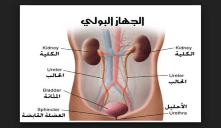 هذا ما يحدث لجسمك عندما تتأخر عن 