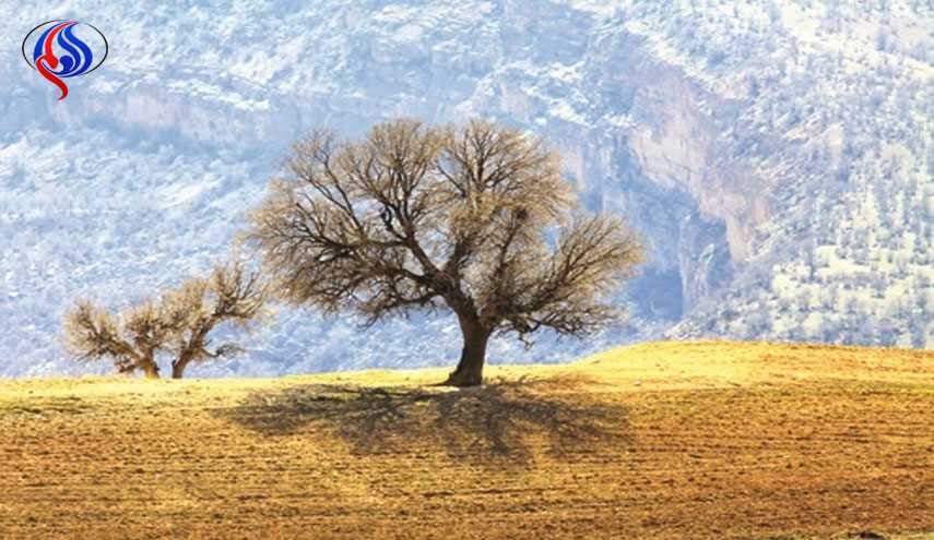 نگرانی‌های تازه برای حفظ زمین!
