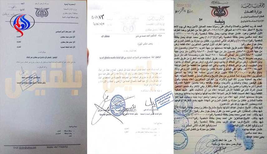 بالوثائق.. هادي باع أراض واسعة من محميات جزيرة يمنية لمؤسسة إماراتية