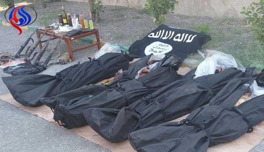 القضاء على اربعة ارهابيين في هرمزكان