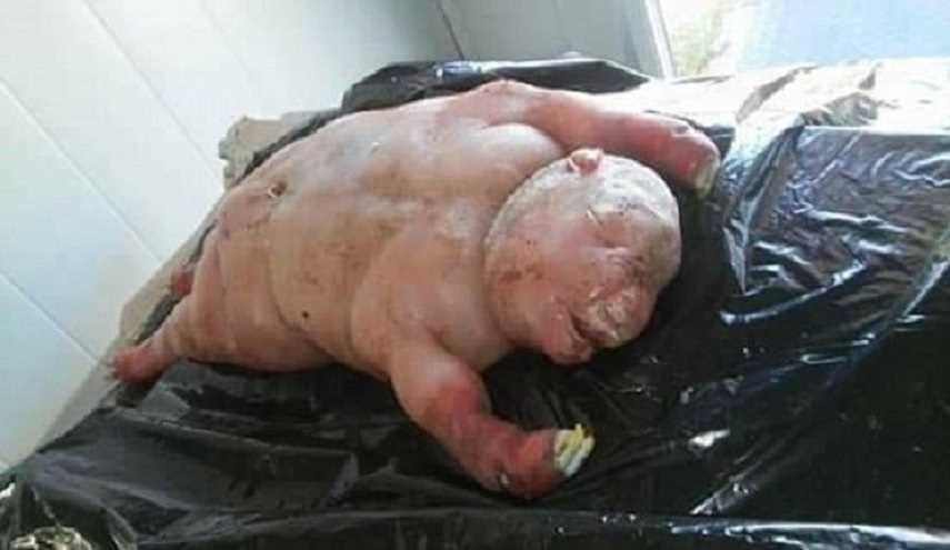 عنزة تلد مخلوقا يشبه الإنسان