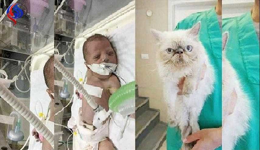 تل ابيب تسمح لقطة بمغادرة غزة للعلاج و3 أطفال يموتون بسبب المنع
