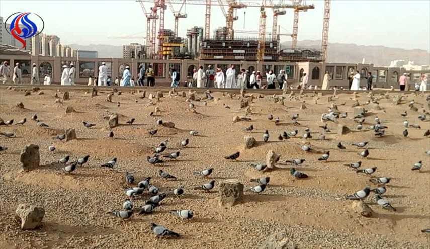 آل سعود وجريمة البقيع