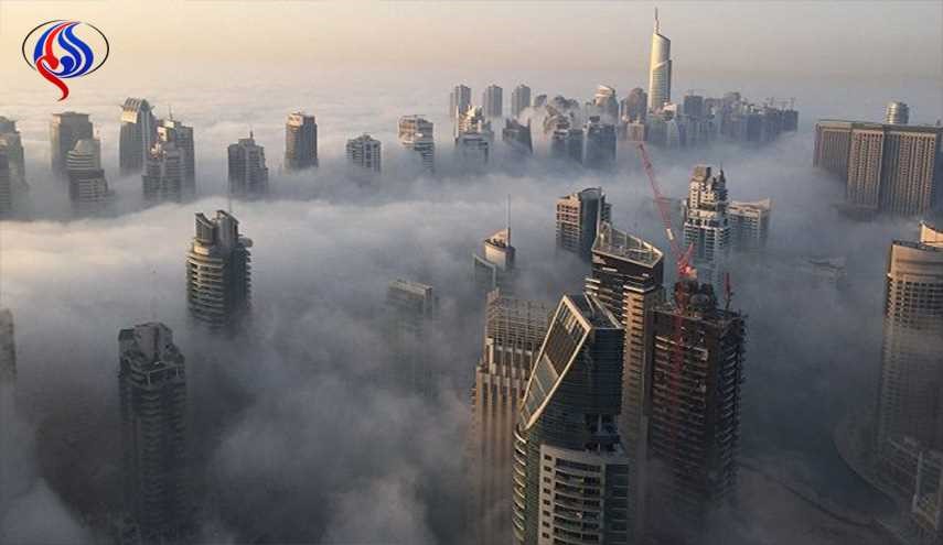 بعد السعودية وقطر.. اميركا ستحلب هذه الدولة ...تعرف عليها؟